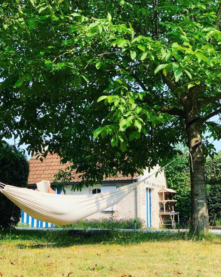 Hamiora Wellness B&B Deinze Kültér fotó