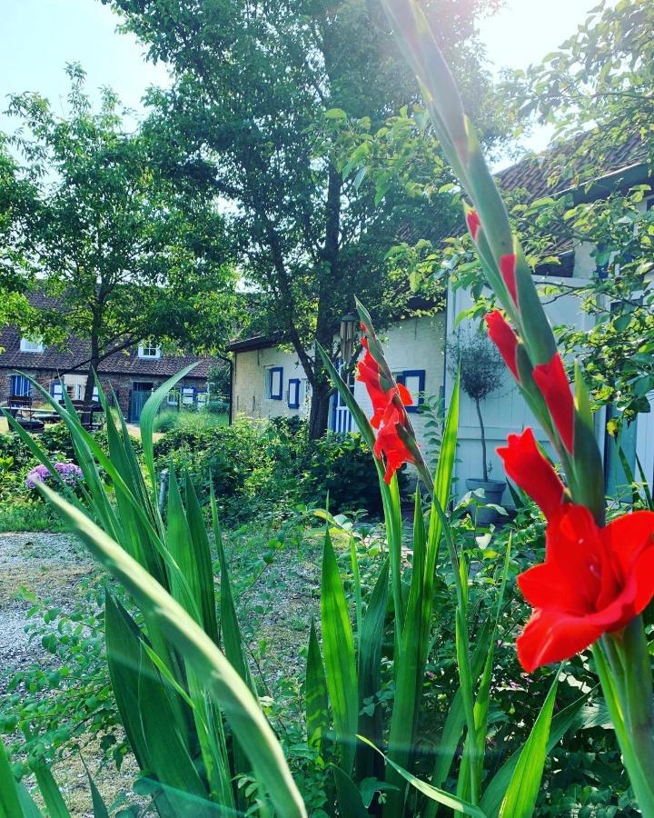 Hamiora Wellness B&B Deinze Kültér fotó