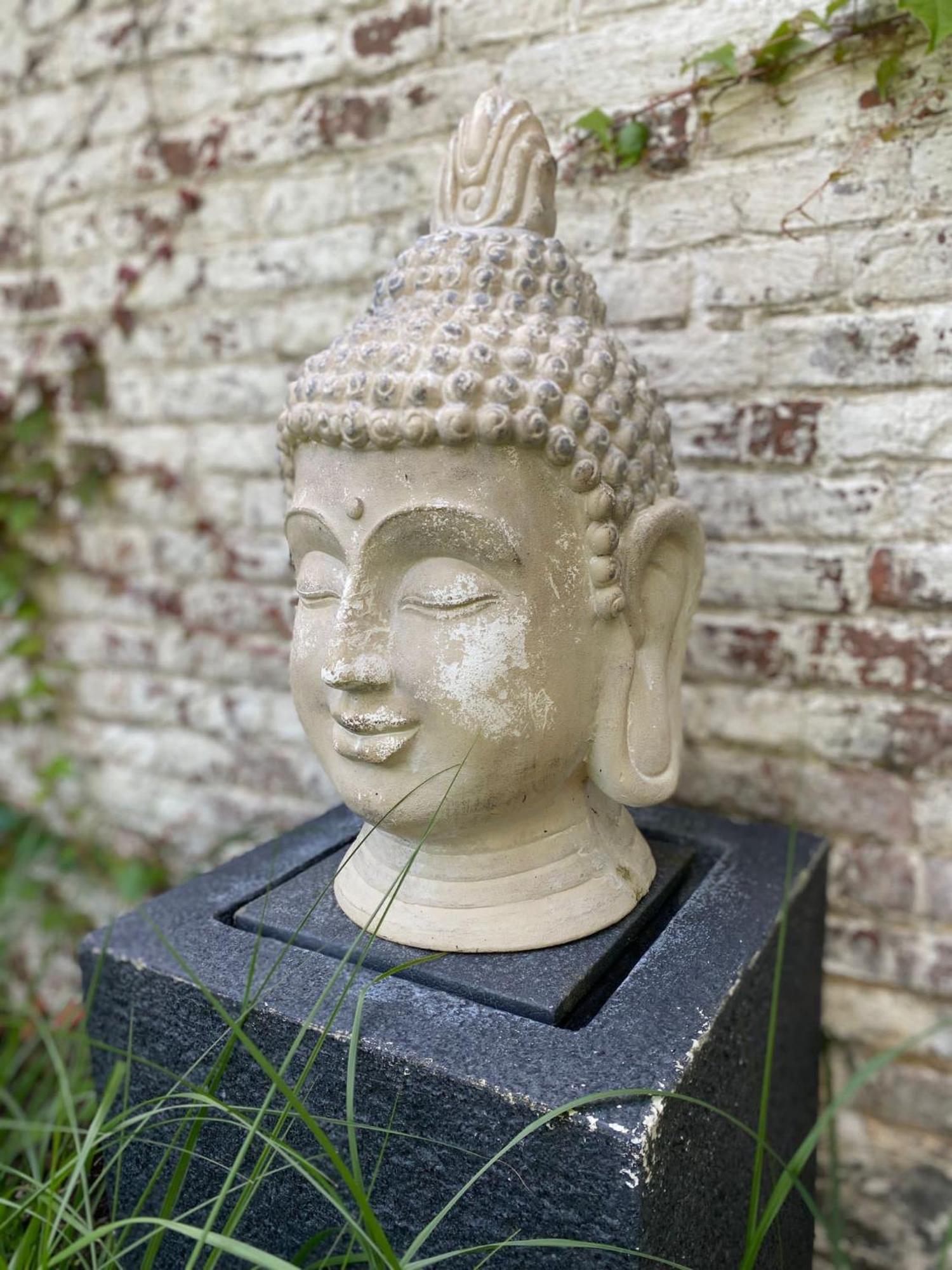 Hamiora Wellness B&B Deinze Kültér fotó