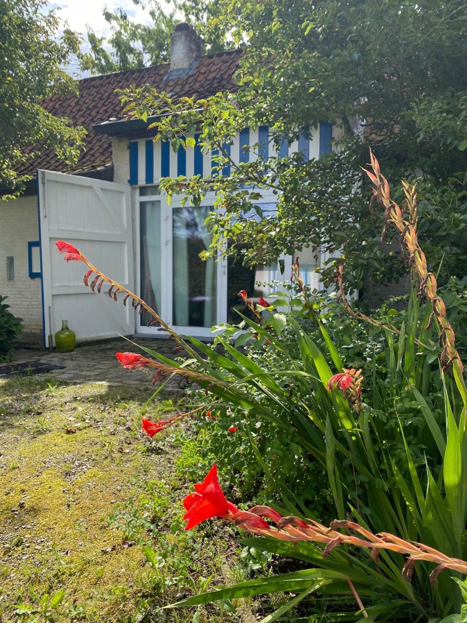 Hamiora Wellness B&B Deinze Kültér fotó