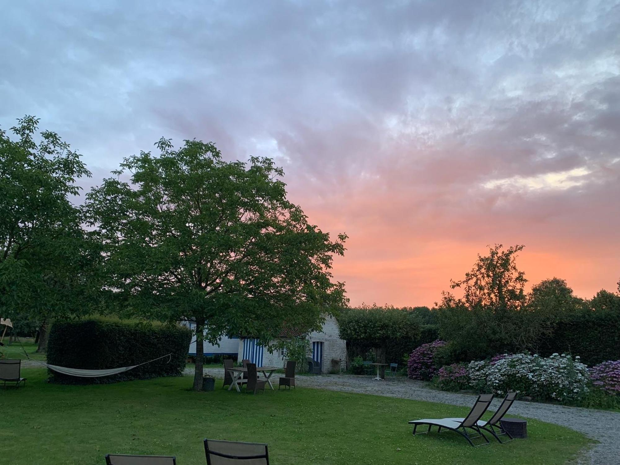 Hamiora Wellness B&B Deinze Kültér fotó