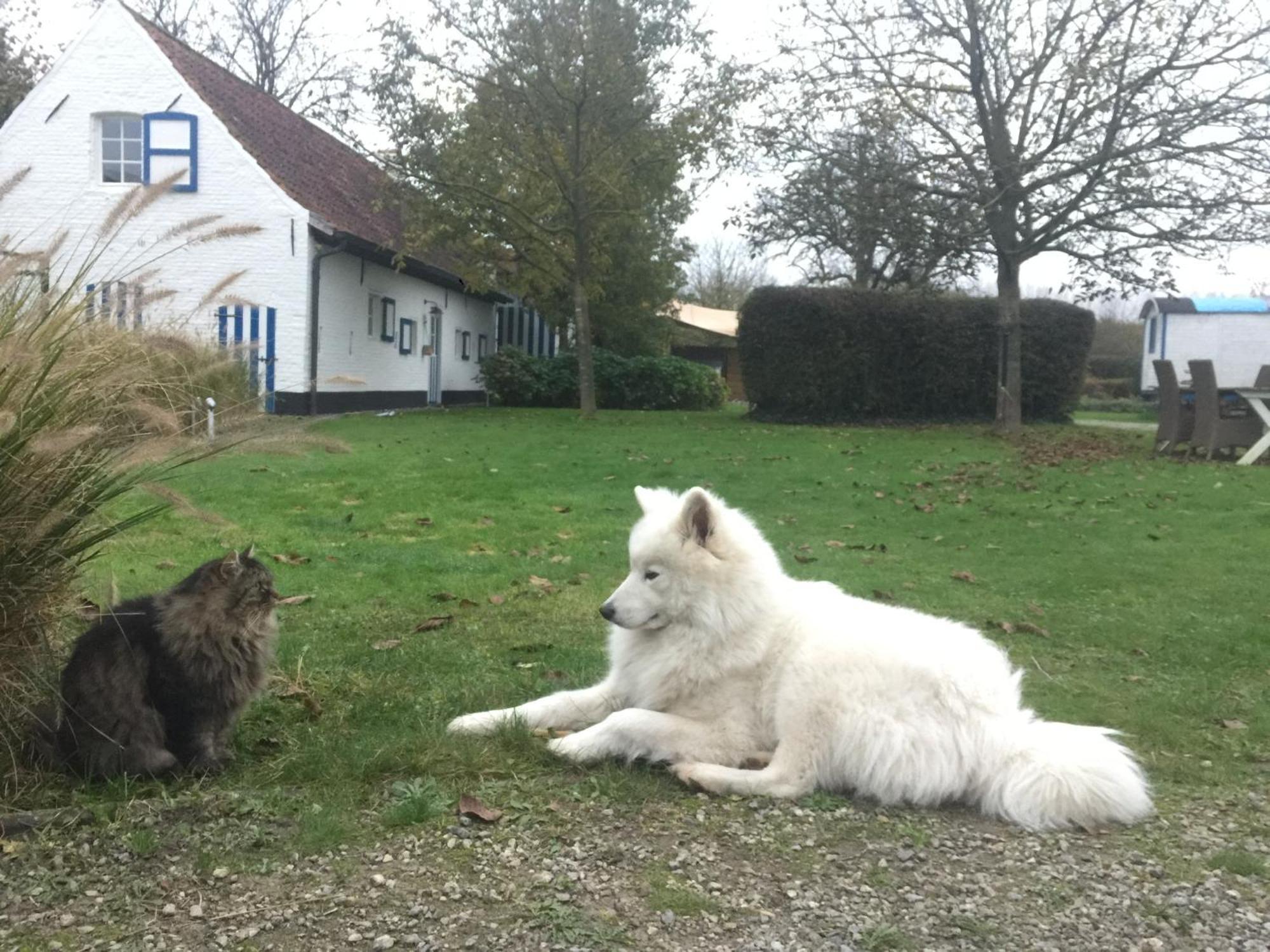 Hamiora Wellness B&B Deinze Kültér fotó
