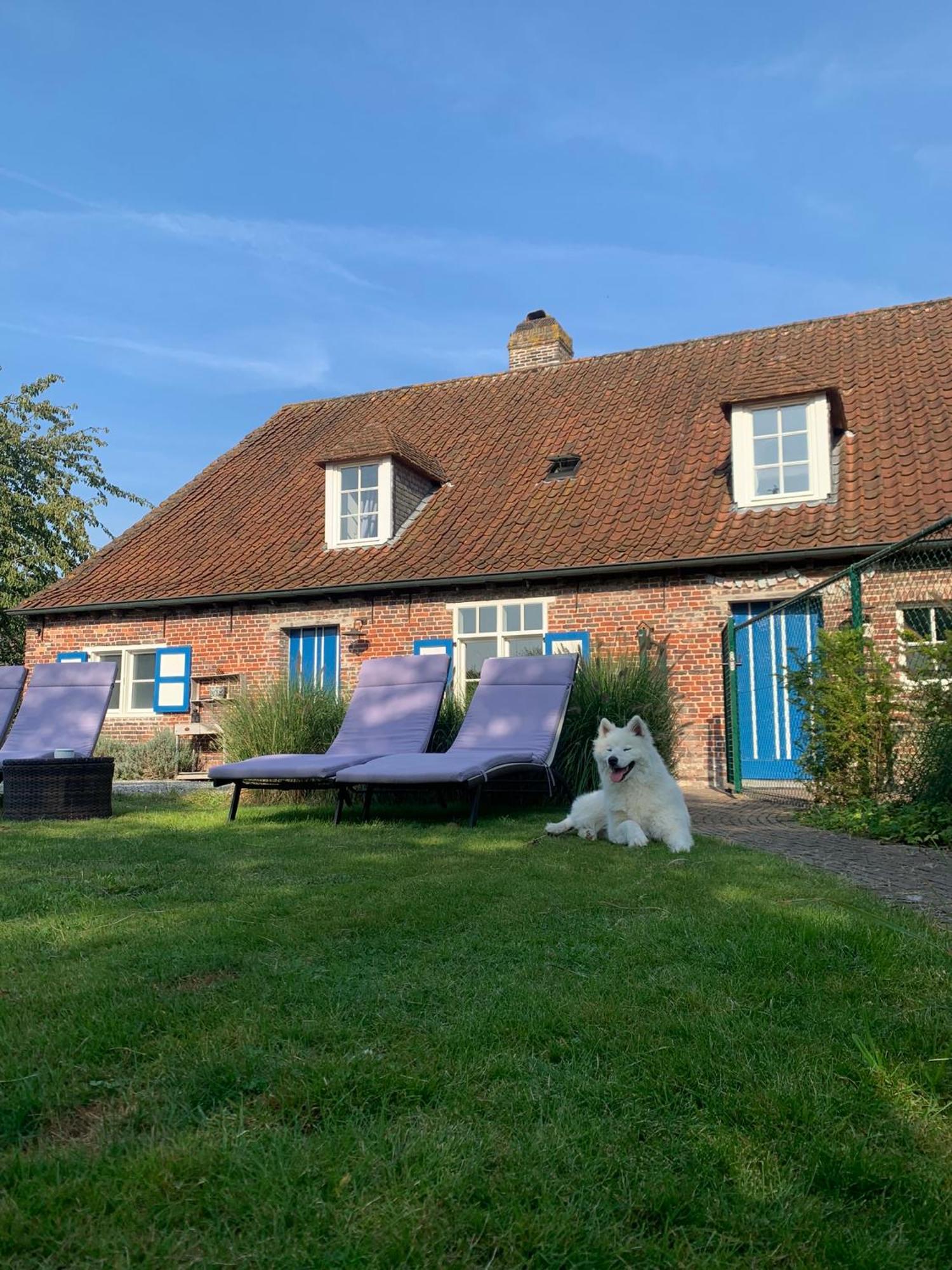 Hamiora Wellness B&B Deinze Kültér fotó