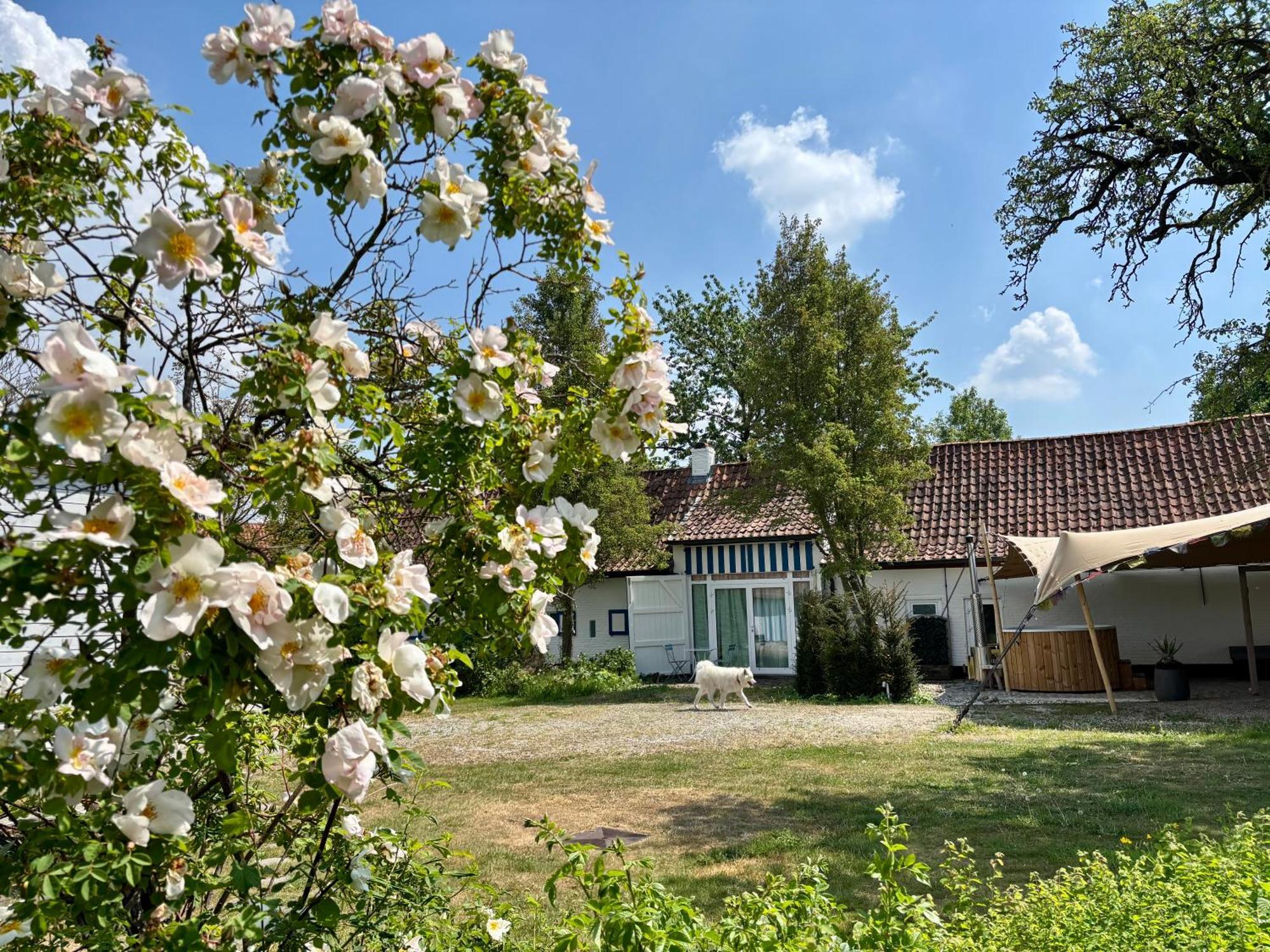 Hamiora Wellness B&B Deinze Kültér fotó